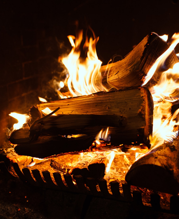 Log Fire Image